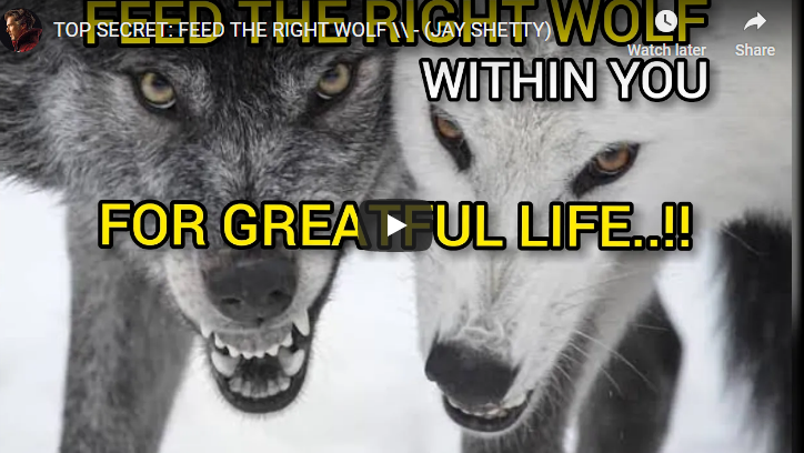 TOP SECRET: FEED THE RIGHT WOLF \\ – (JAY SHETTY)